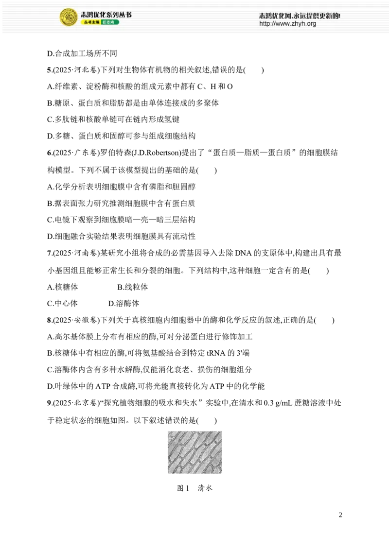 《限时练1　大单元一查缺补漏保分练_2026版高中《二三轮复习+冲刺复习》_高考总复习优化设计二轮用书生物课后习题Word_课后习题_大单元1　细胞是生物体结构与生命活动的基本单位》第2页预览