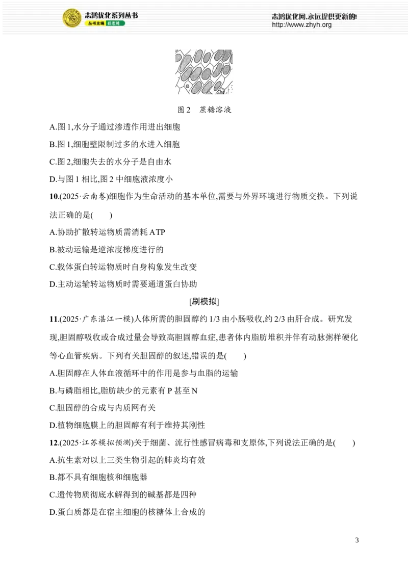 《限时练1　大单元一查缺补漏保分练_2026版高中《二三轮复习+冲刺复习》_高考总复习优化设计二轮用书生物课后习题Word_课后习题_大单元1　细胞是生物体结构与生命活动的基本单位》第3页预览