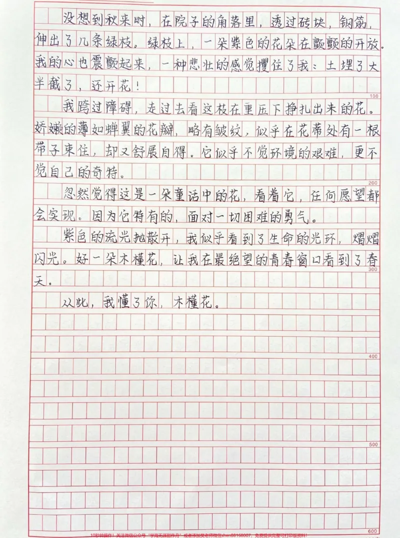 《优秀作文《懂你,木槿花》附带可以写进作文的好句素材#作文#作文素材#qunju888.com图文来了_最新小学1-9年级各科+幼升小+综合类学习资源汇总包_初中一线老师整理版资源(全网独家)》第2页预览