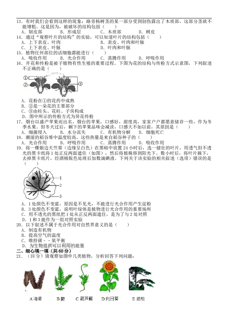 《冀教版七年级上册生物期末试卷_初高中资料库_初中资料库（转存避免链接过期失效）_初中生物》第2页预览