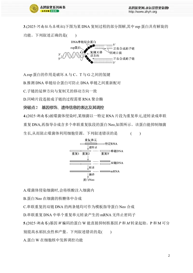 《限时练15　DNA复制与冈崎片段　基因修饰、遗传信息的表达及其调控_2026版高中《二三轮复习+冲刺复习》_高考总复习优化设计二轮用书生物课后习题Word_课后习题》第2页预览