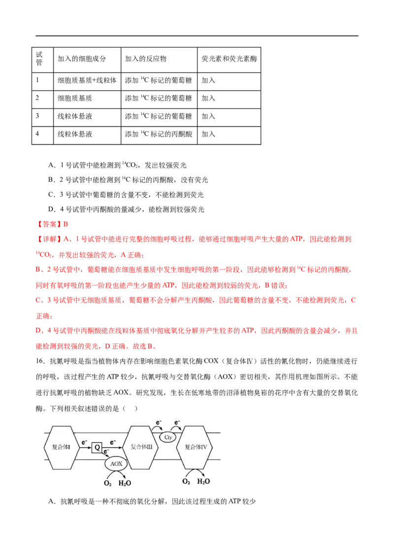 《专题二细胞的能量供应和利用（测试）（解析版）_初高中资料库_高中资料库（转存避免链接过期失效）_高中生物》第9页预览