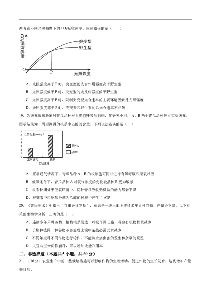 《专题二细胞的能量供应和利用（测试）（原卷版）_初高中资料库_高中资料库（转存避免链接过期失效）_高中生物》第6页预览