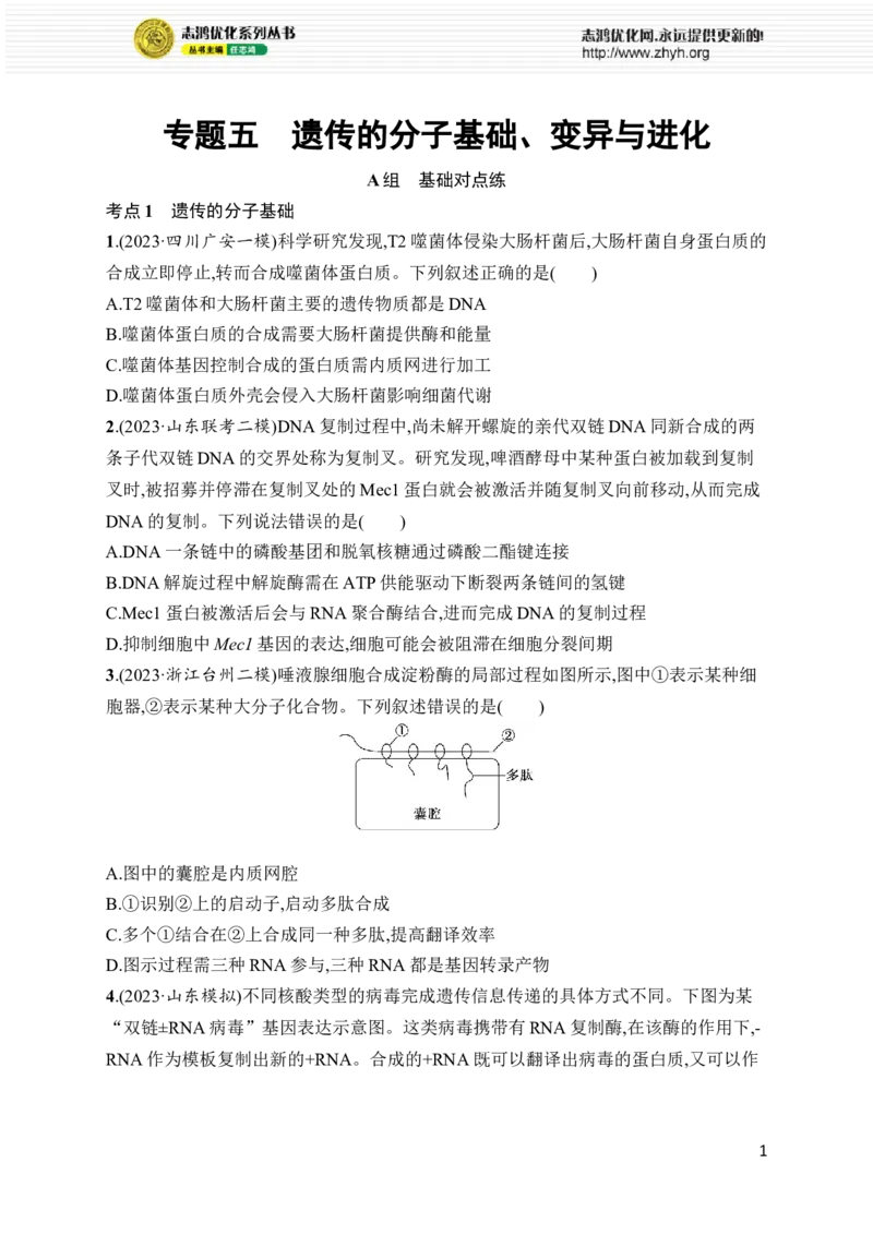 《专题5　遗传的分子基础、变异与进化_初高中资料库_高中资料库（转存避免链接过期失效）_高中生物》第1页预览