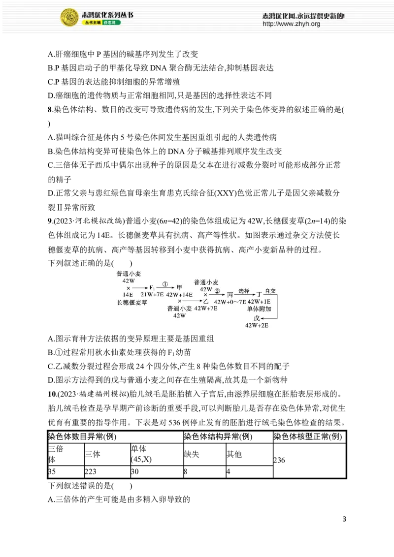 《专题5　遗传的分子基础、变异与进化_初高中资料库_高中资料库（转存避免链接过期失效）_高中生物》第3页预览