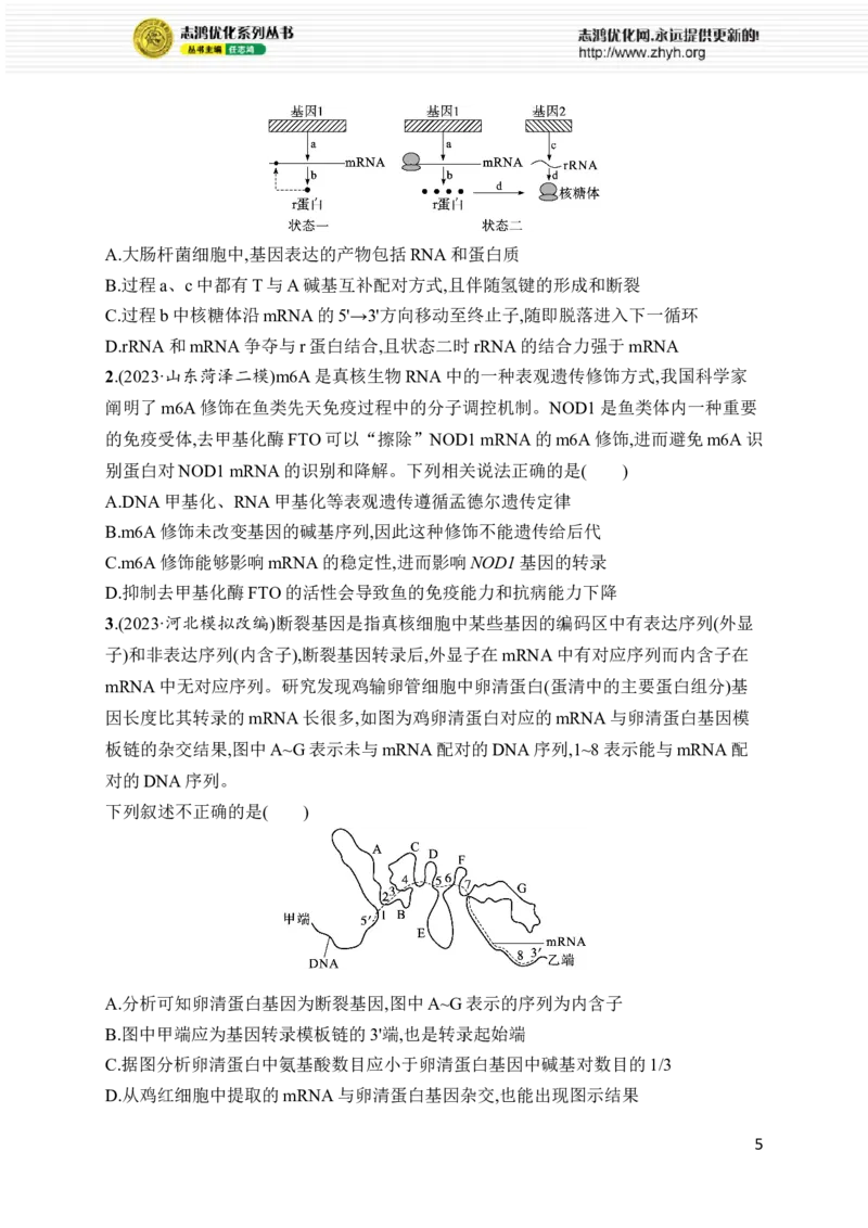 《专题5　遗传的分子基础、变异与进化_初高中资料库_高中资料库（转存避免链接过期失效）_高中生物》第5页预览