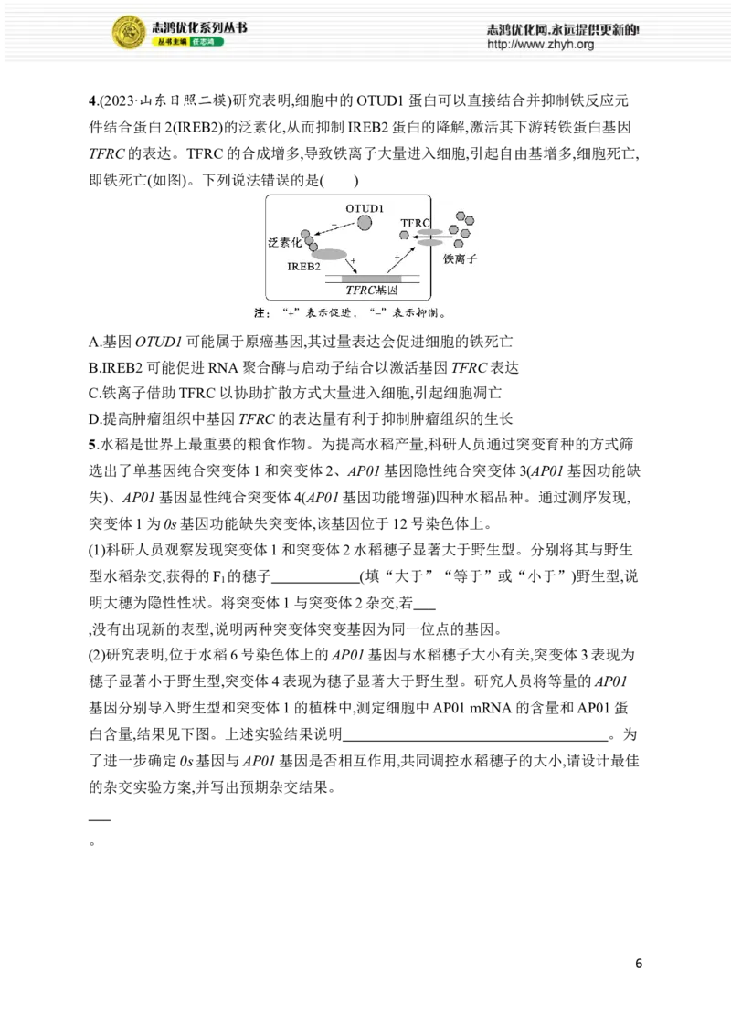 《专题5　遗传的分子基础、变异与进化_初高中资料库_高中资料库（转存避免链接过期失效）_高中生物》第6页预览