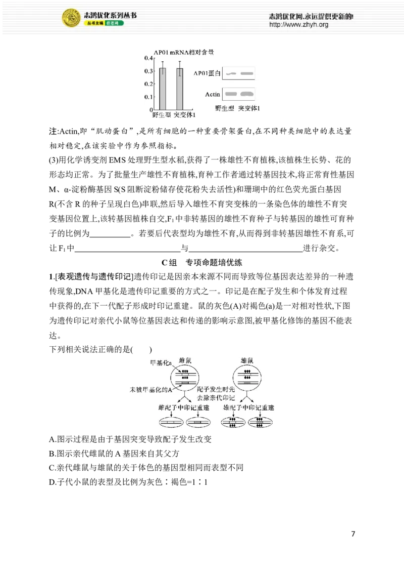 《专题5　遗传的分子基础、变异与进化_初高中资料库_高中资料库（转存避免链接过期失效）_高中生物》第7页预览
