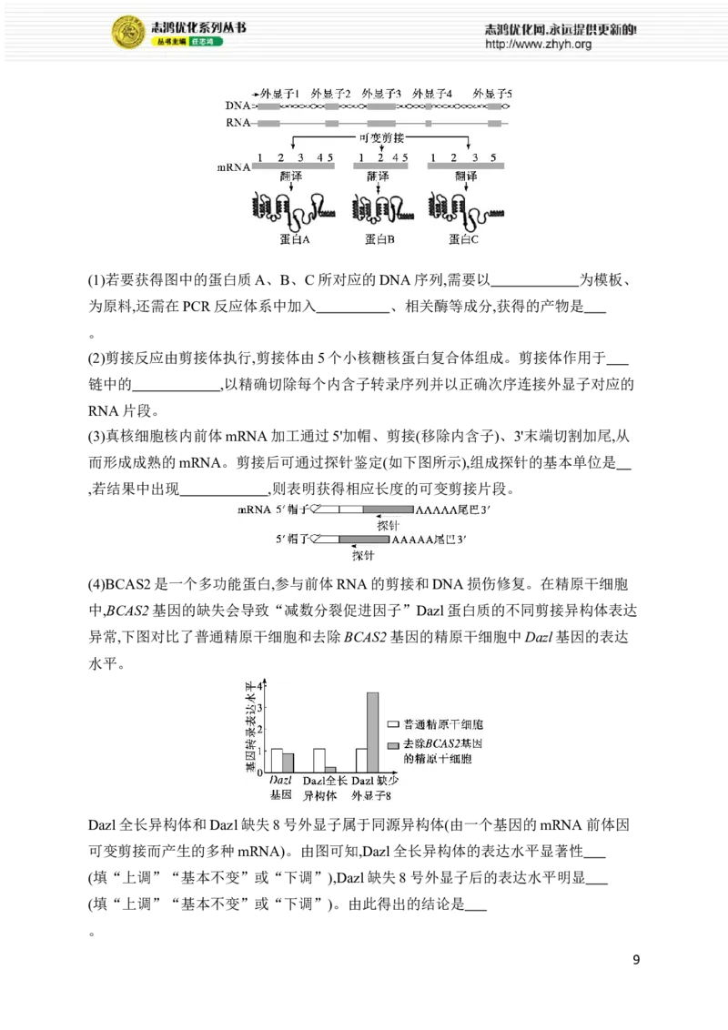 《专题5　遗传的分子基础、变异与进化_初高中资料库_高中资料库（转存避免链接过期失效）_高中生物》第9页预览