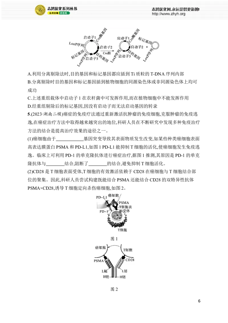 《专题8　生物技术与工程_初高中资料库_高中资料库（转存避免链接过期失效）_高中生物》第6页预览