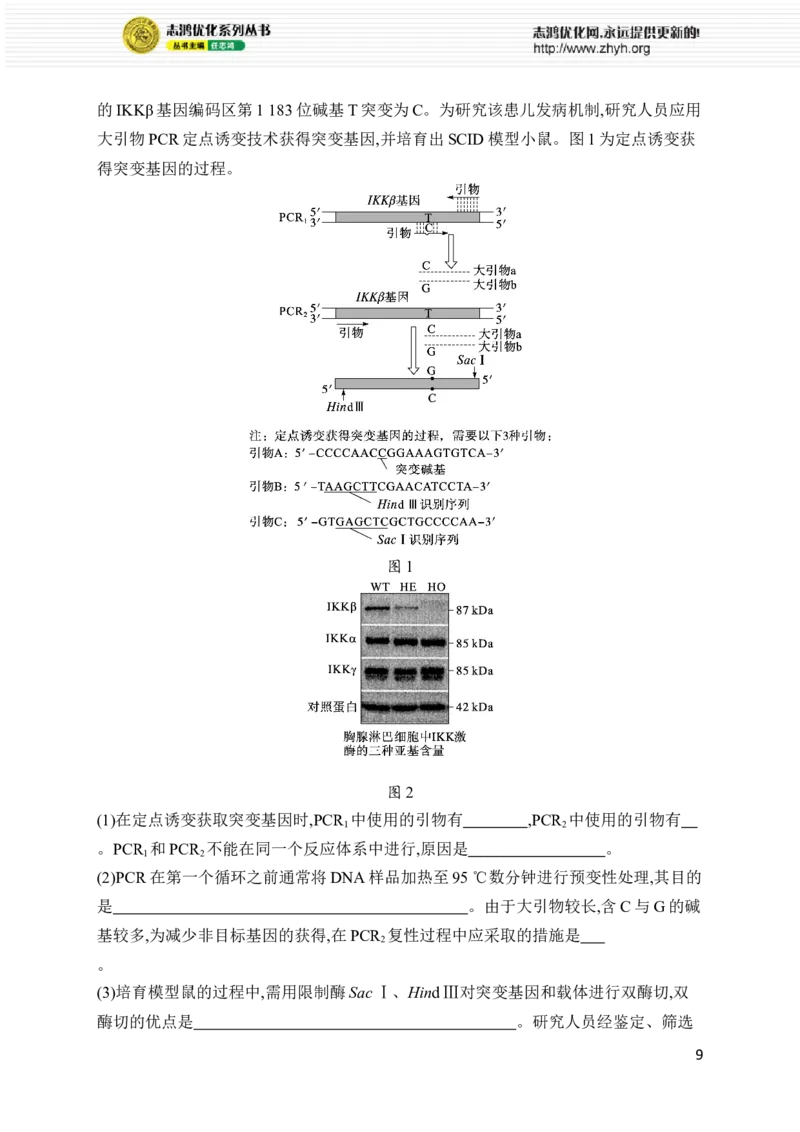 《专题8　生物技术与工程_初高中资料库_高中资料库（转存避免链接过期失效）_高中生物》第9页预览
