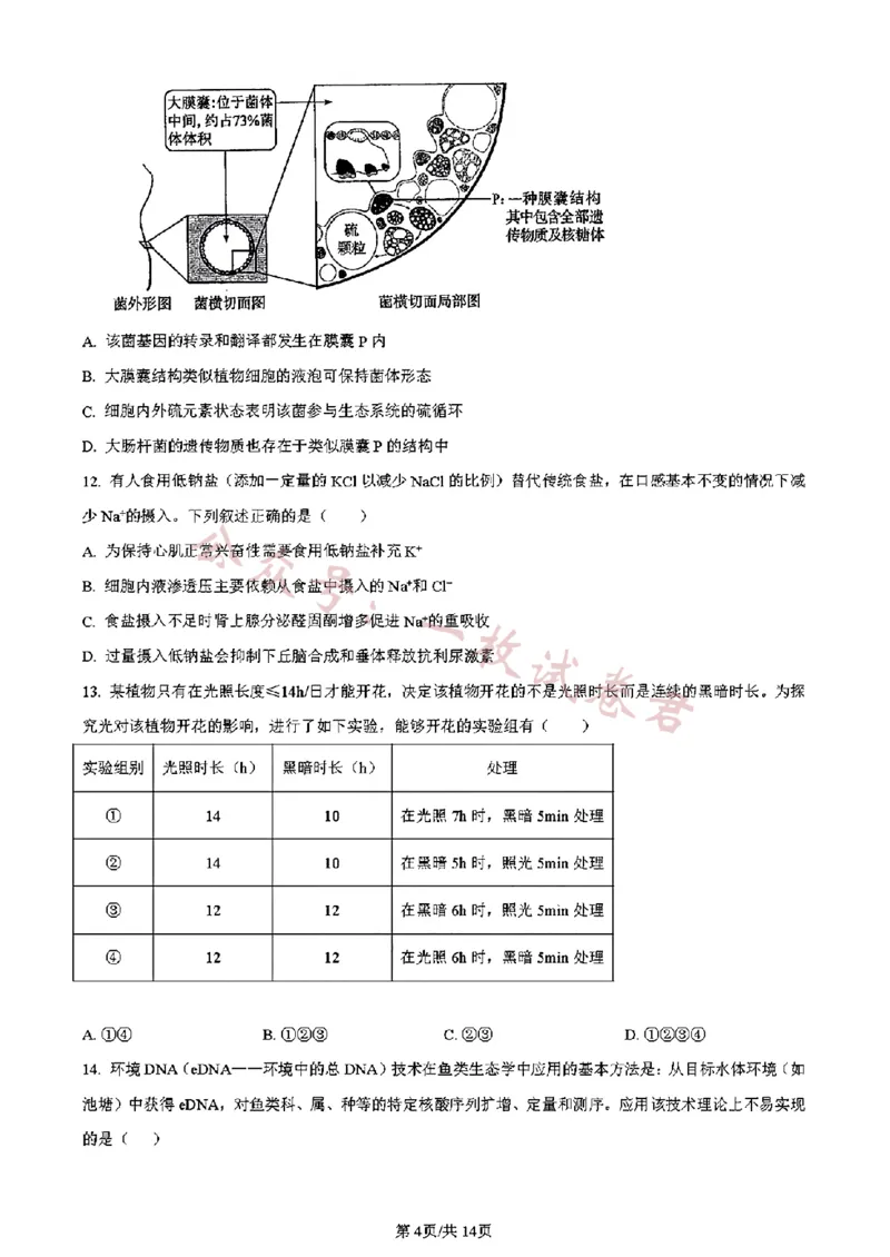 《吉林生物（含答案）_初高中资料库_高中资料库（转存避免链接过期失效）_高中生物》第4页预览